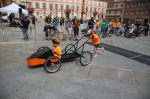 Carrera dei Piccoli 2024 vincono Raptor e Moretti.